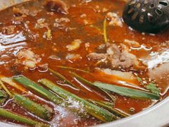 -新乡杨记红焖羊肉火锅(天坛南门店)