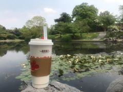 -鸡鸣赐茶(鸡鸣寺路店)