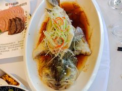 -鱼翅楼·津派砂锅鱼翅(水上公园店)