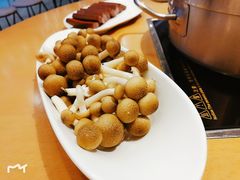 -湯系·煲汤手艺人(东二环泰禾广场店)