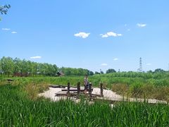 -永定河休闲森林公园