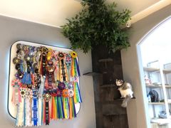 -啵啵喵·猫咖(攀华国际店)