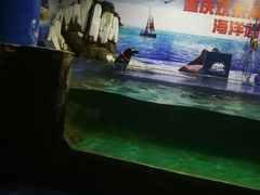 -重庆欢乐海底世界