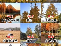 -黄海国家森林公园