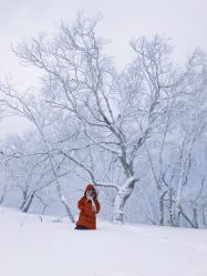 -大秃顶子山