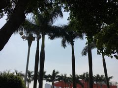 景点-番禺广场(市桥街道)