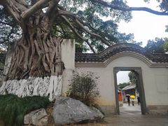 -墨池公园