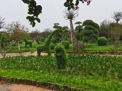 -武汉紫薇都市田园