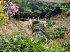 -南丹山森林王国
