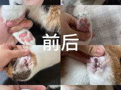 -听TA说宠咖·宠物生活馆(天韵水岸店)