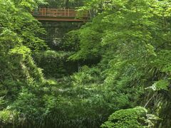 -三千院