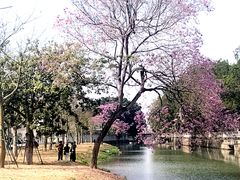 -聚福山莊·寻味顺德(北滘店)