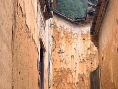 -杨家堂村