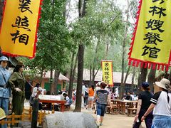 -微山湖红荷湿地景区