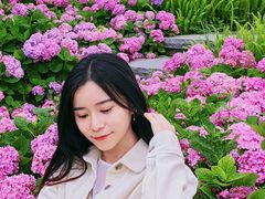 -成飞公园