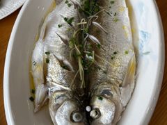 清蒸白鱼-品鲜村农家菜·阳澄湖大闸蟹(总店)