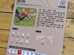 -武汉动物园
