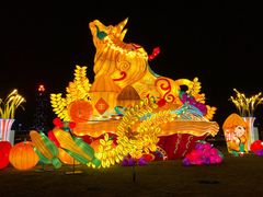 -桐乡凤凰湖