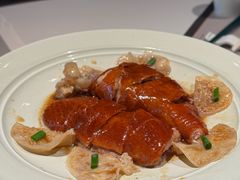 -新兴·金羊座·粤菜点心(乐峰店)