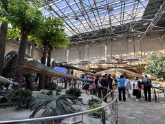 -国家自然博物馆