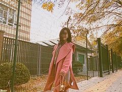 -三里屯东五街银杏大道