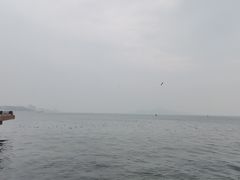 -幸福门
