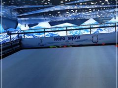 -Hopo Snow 城市滑雪空间(滨江宝龙城店)
