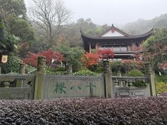 -十八棵（老龙井）御茶园(老龙井店)