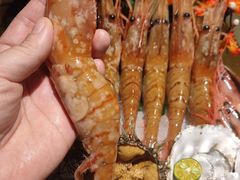 牡丹虾刺身-蟹将军·松叶蟹和牛日料放题自助(K11店)