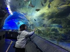 -大连圣亚海洋世界