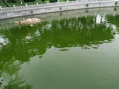 -梵天禅寺