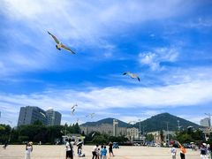 -黑石礁公园