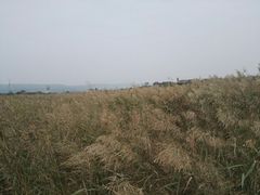 -处女泉风景名胜区