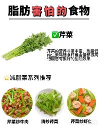 -Fundi张玉珊修身堂·indiba·BTL科技瘦身