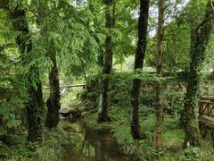 -素山寺森林公园