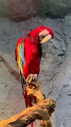 -Zoolung Zoolung动物主题公园(海信广场店)