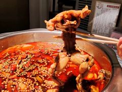 -宽口美蛙鱼头(大唐西市店)