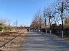 -永定河休闲森林公园