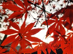 -平安桥天主教堂