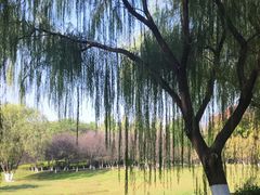 -滨湖塘西河公园