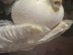 -肆月河豚·淮扬菜·湘菜(华天店)
