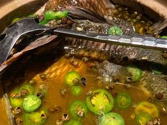 -Mountain House East Village 川山甲