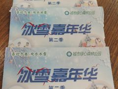 -绿野森林乐园冰雪季