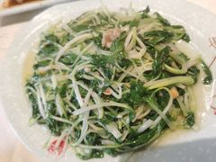 炒小白菜-抱德·潮汕味(敦和店原惠城鱼仔)