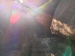 -鲁山国家森林公园