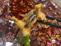 -老表牌·蛙蛙鸡冷锅鱼(成都东站店)