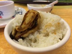 -横琴客运码头