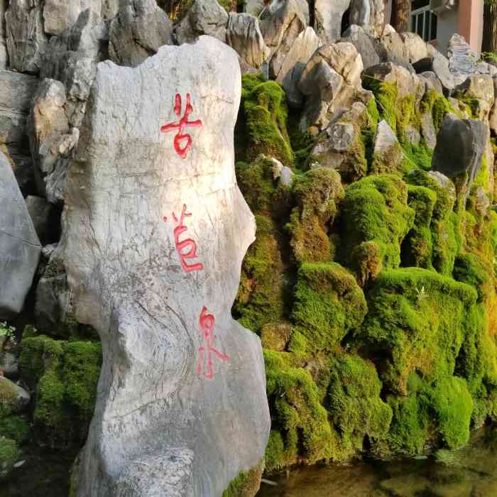 苦苣泉-"环境不错山清水秀,修心养性,空气清新负离."-大众点评移动版