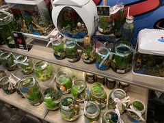 -酷乐潮玩(金桥国际店)