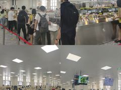 -黑龙江中医药大学